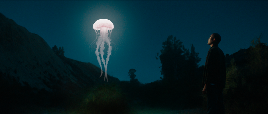 Jellyfish - Joachim Morre